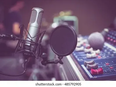 A brilliant Voice Over in native Japanese