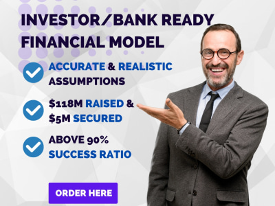 An investor-ready & Tailor-made Financial model or Financial Plan