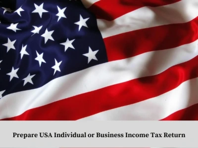 USA individual or business income tax return