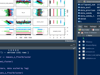 A 1 hour econometrics and research consultation in R and STATA