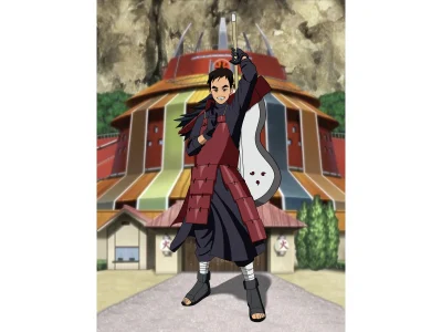 A stunning anime portrait