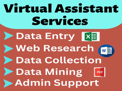 Professional Virtual Assistant for your business