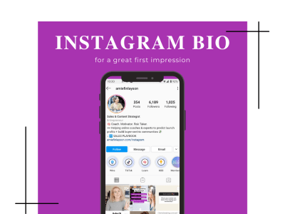 The Perfect Instagram Bio