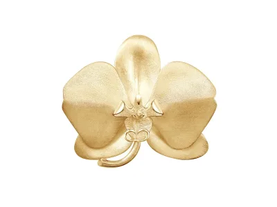 Beautiful jewelry protography for your product to stand out