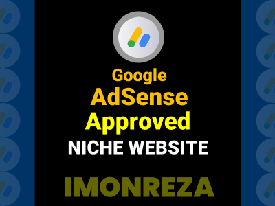 Google AdSense approved complete niche website