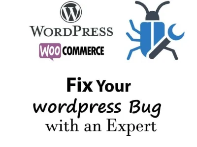 Bug Fixes, Plugin Fixes, Theme Fixes, MySql Fixes, Any type of bugs