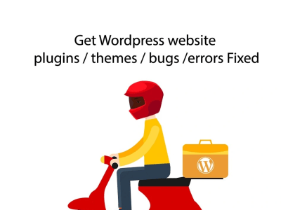 Wordpress website plugins themes bug , error, problems and SEO issues fixes