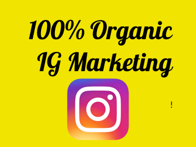 Instagram Organic Growth Followers and Engagement