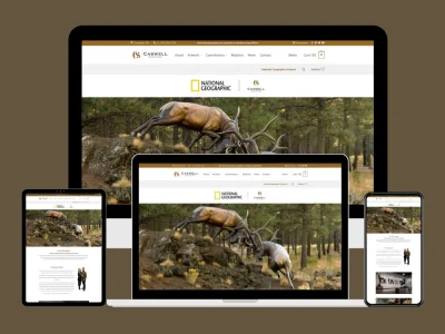 An authentic web design for your site. | Upwork
