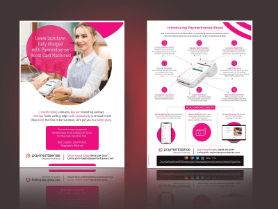Clean, corporate FLYER / BROCHURE