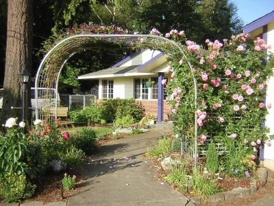 A custom hand-drawn 2D scale landscape design and plant list with pictures