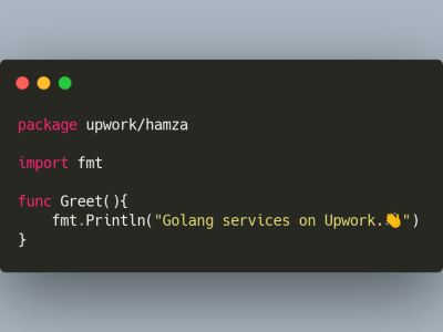 A developer to code or fix the program in Golang / Go programming language