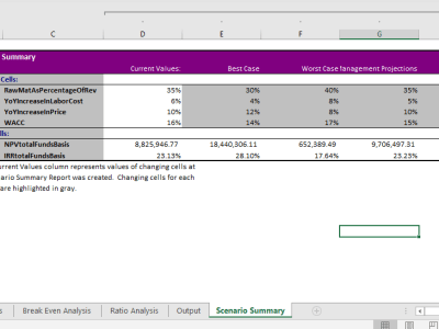 Professionally designed, efficient and robust financial models on Excel