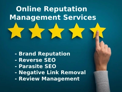 Online Reputation Management Service