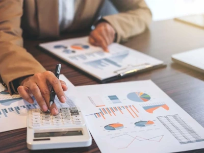 You will get professionalism in a feasibility study, business plan or business model