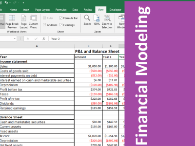 Pro-forma, Financial statements, Financial plan, business valuation work.