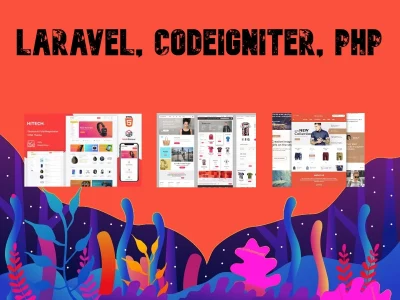 A laravel, codeigniter or  PHP web app and website  with clean code.