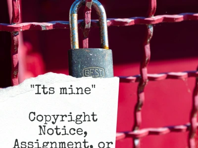 A perfect copyright infringement report, copyright notice, or assignment