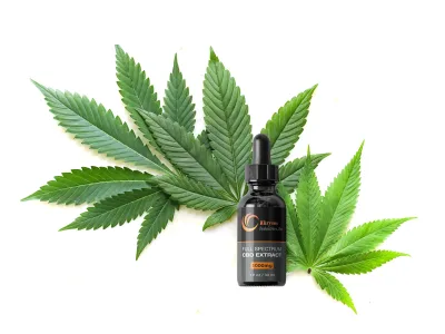 Cannabis packaging design for extracts, oil, skincare, etc