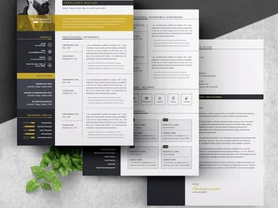 Premium Resume driven by keywords, modern design and impact!