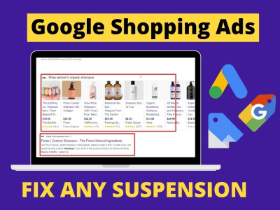 Google Merchant Center setup and Launch Shopping Ads
