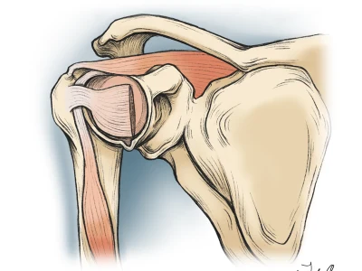 Unique and detailed medical/scientific illustration