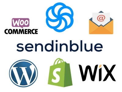 A Sendinblue/Brevo Expert for your Website/Store