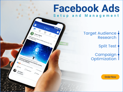 A Result-oriented Facebook Ads Campaign