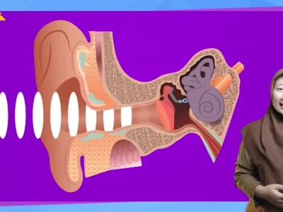An interesting instructional/learning/course videos