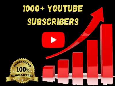 Non Drop Organic YouTube Subscribers