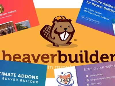 Beaver Builder website design - Beaver Builder landing page design - VC SEO