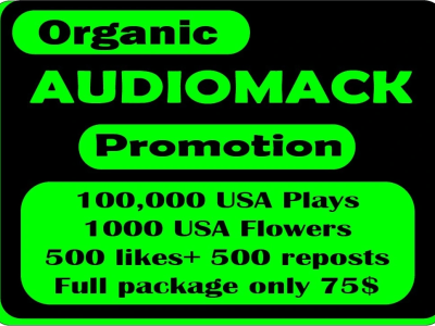 Organic Audiomack Music Promotion To Getting Real Engagement From USA UK