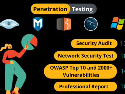 Professional penetration testing with a detailed report.