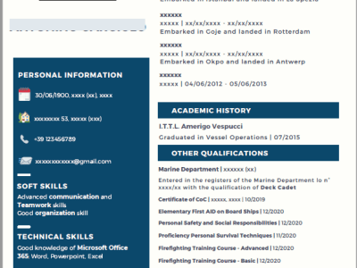 An attractive and professional resume