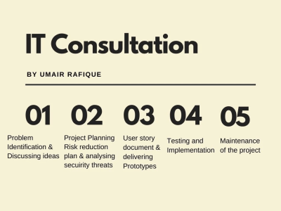 A professional IT Consultation