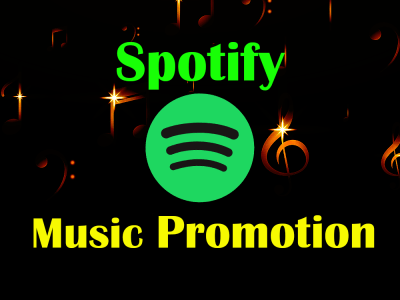 Organic Spotify promotion on music network