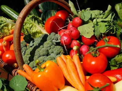 A farming, agriculture  business plan for startups, SBA Loan, investors