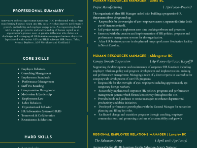 A professional cv, resume and, ATS format resumer tailored to your next job