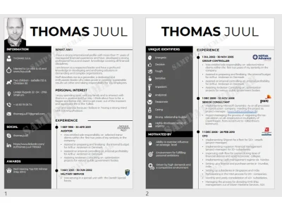 A professional looking and infographic resume/CV