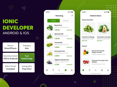 Ios mobile app android mobile app using Ionic with Angular and Laravel