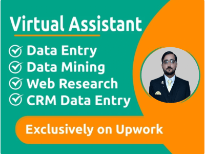 A virtual assistant for data entry, data mining, typing, and copy paste job