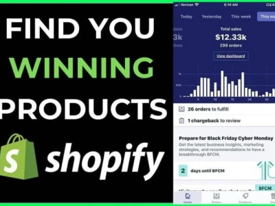 Products researched on the desired niche for your Shopify store