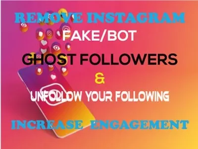 Clean an Instagram account from fake followers