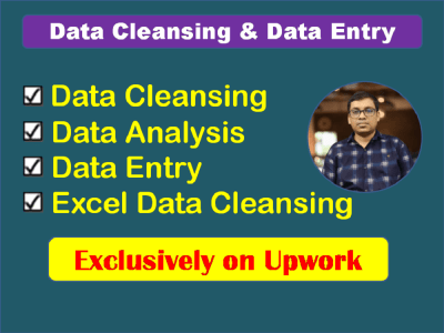 Pull Data Manually, Data entry Researcher, Data Cleansing, Data mining