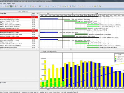 Expert primavera p6 project management and scheduling services