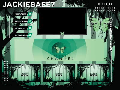 An complete animated twitch overlay package for your stream