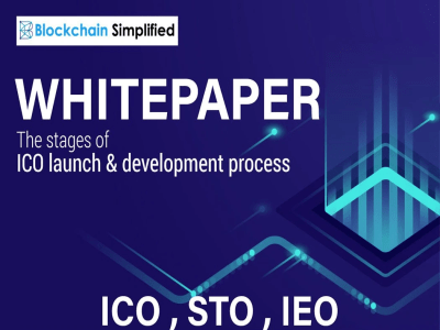 A professional white paper for ico, sto, and ieo blockchain project