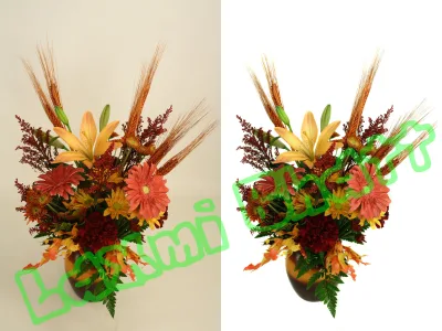 Professional Background Removal Services with clipping path