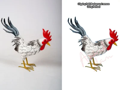 A professional Background Removal service and Perfect Clipping Path