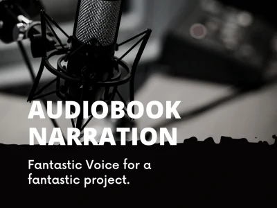 A fantastic voiced audio book